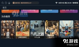 苹果下载91直播,91直播，精彩直播一触即达